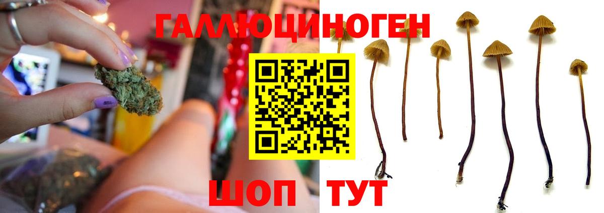 Псилоцибиновые грибы MAGIC MUSHROOMS  Вход с VPN  Новочеркасск 